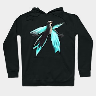 FLY BIRD Hoodie